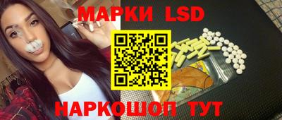крисы Кунгур