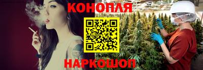 крисы Кунгур