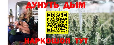 крисы Кунгур