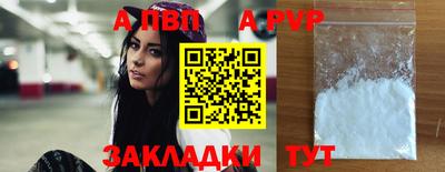 крисы Кунгур