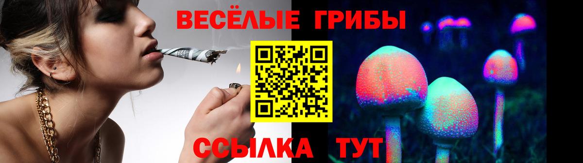 Галлюциногенные грибы мухоморы  Галлюциногенные грибы Psilocybe  Вход с VPN  купить  цена  Калуга 